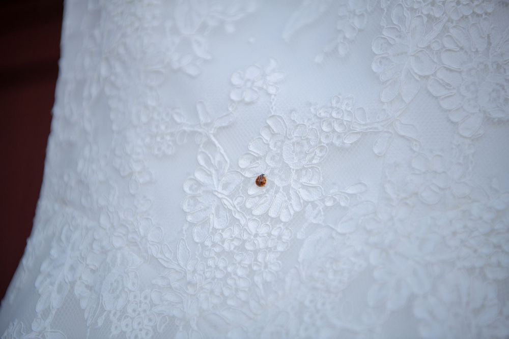 Macro shot of intricate white lace pattern details on wedding dress fabric.