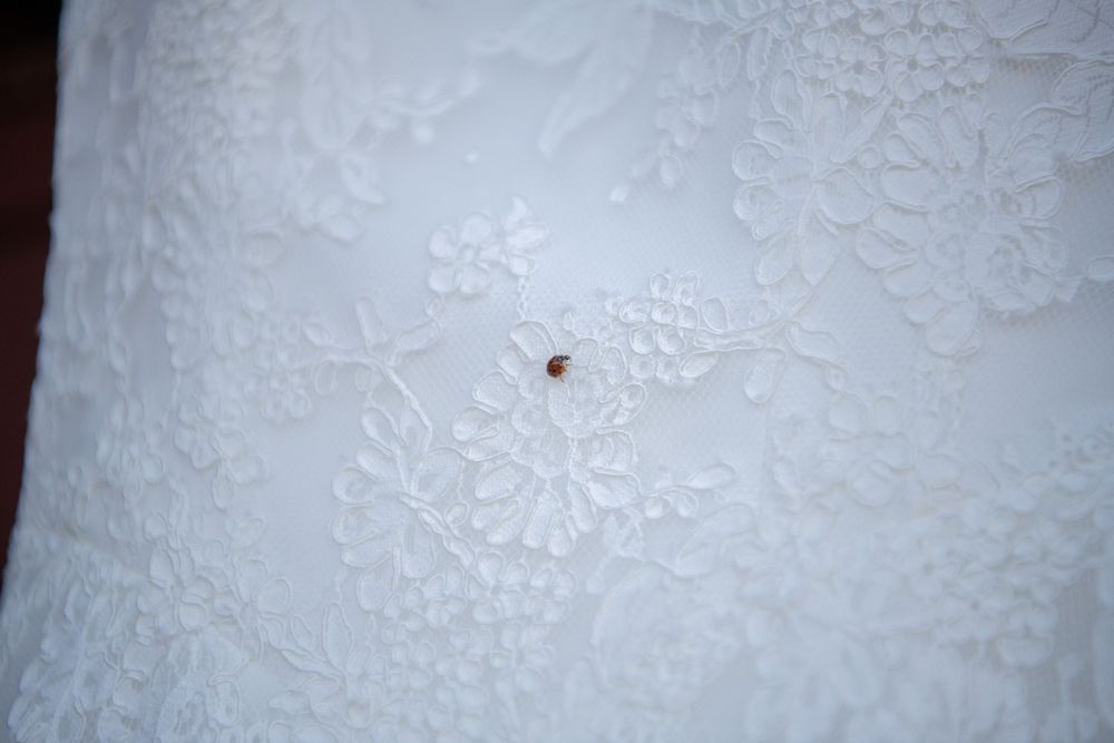 Detailed close-up of white floral lace pattern on wedding dress fabric.