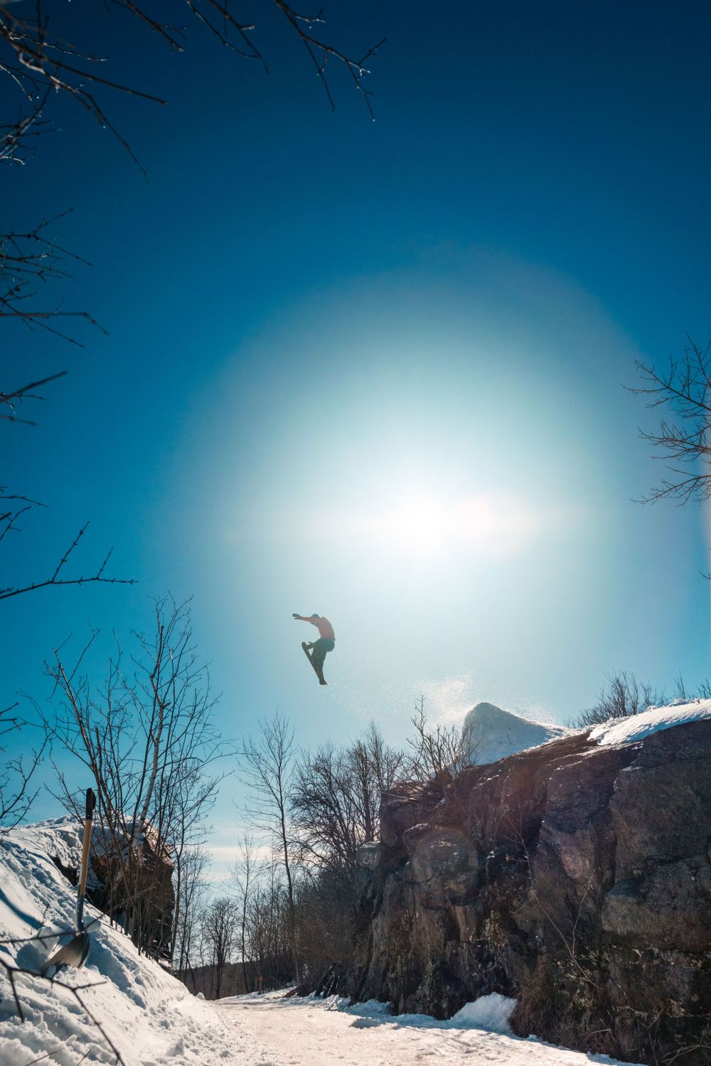 Snowboarder performs mid-air jump against bright sun and snowy landscape with bare trees in foreground.