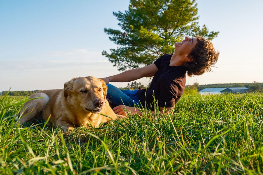 A brown dog and companion relax together on green grass in a sunny meadow near a lake.