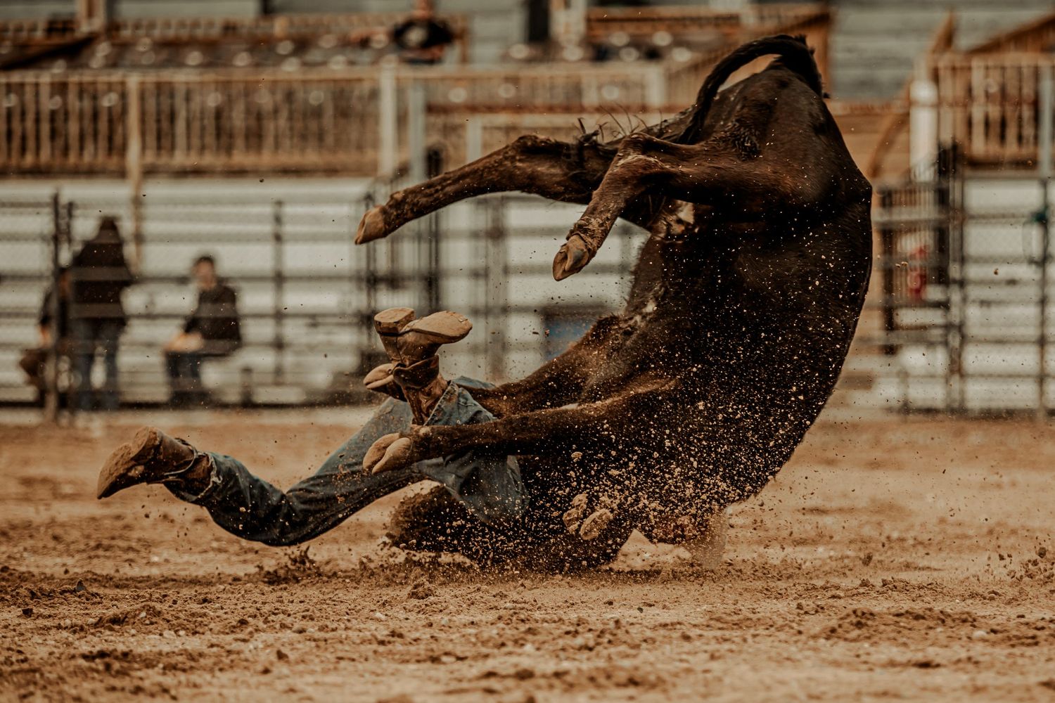 Action shot of a bull rider being thrown from a bucking bull in a dusty rodeo arena.