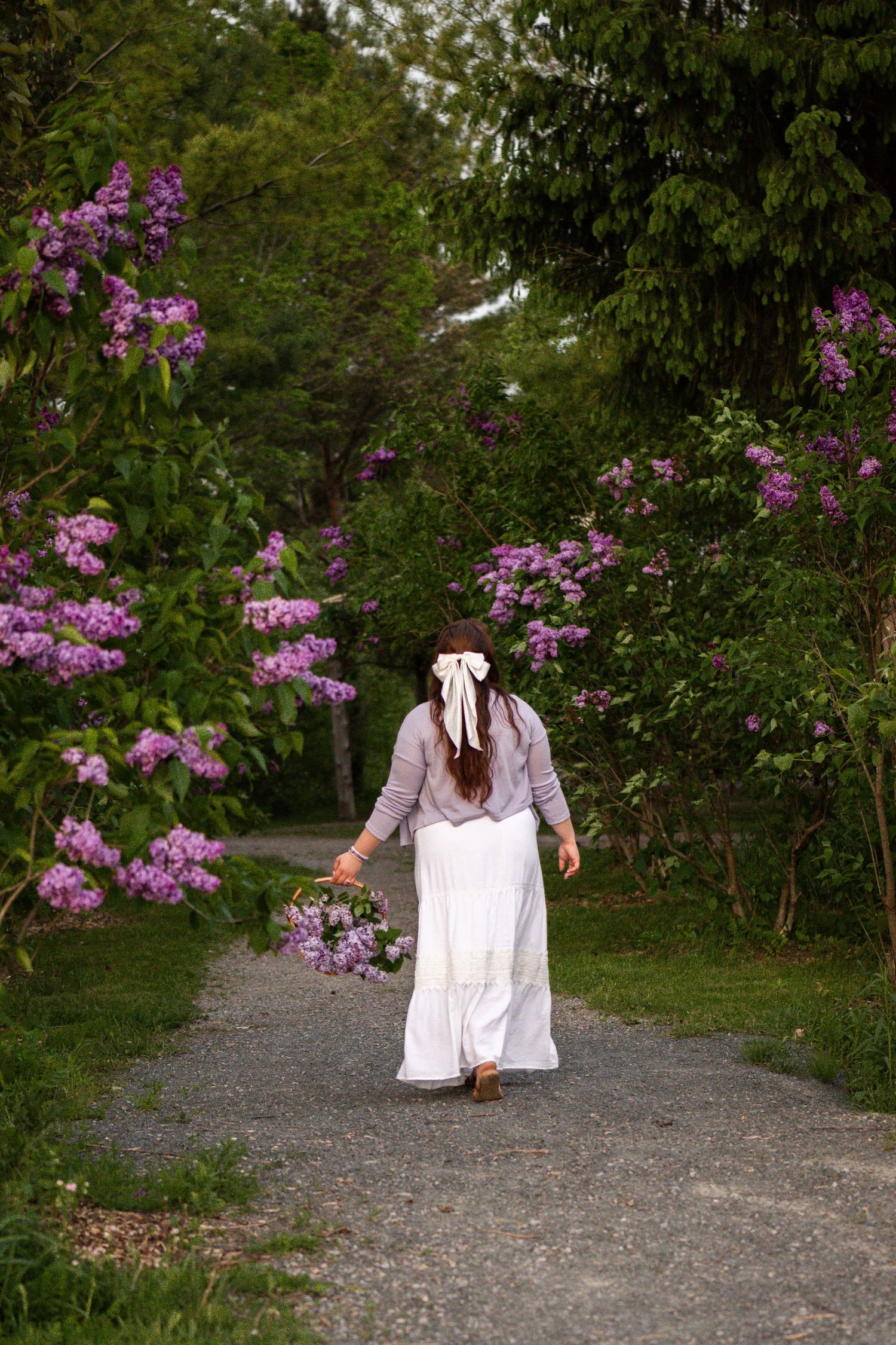 A person in a flowing white dress walks along a garden path bordered by blooming pink rhododendrons.