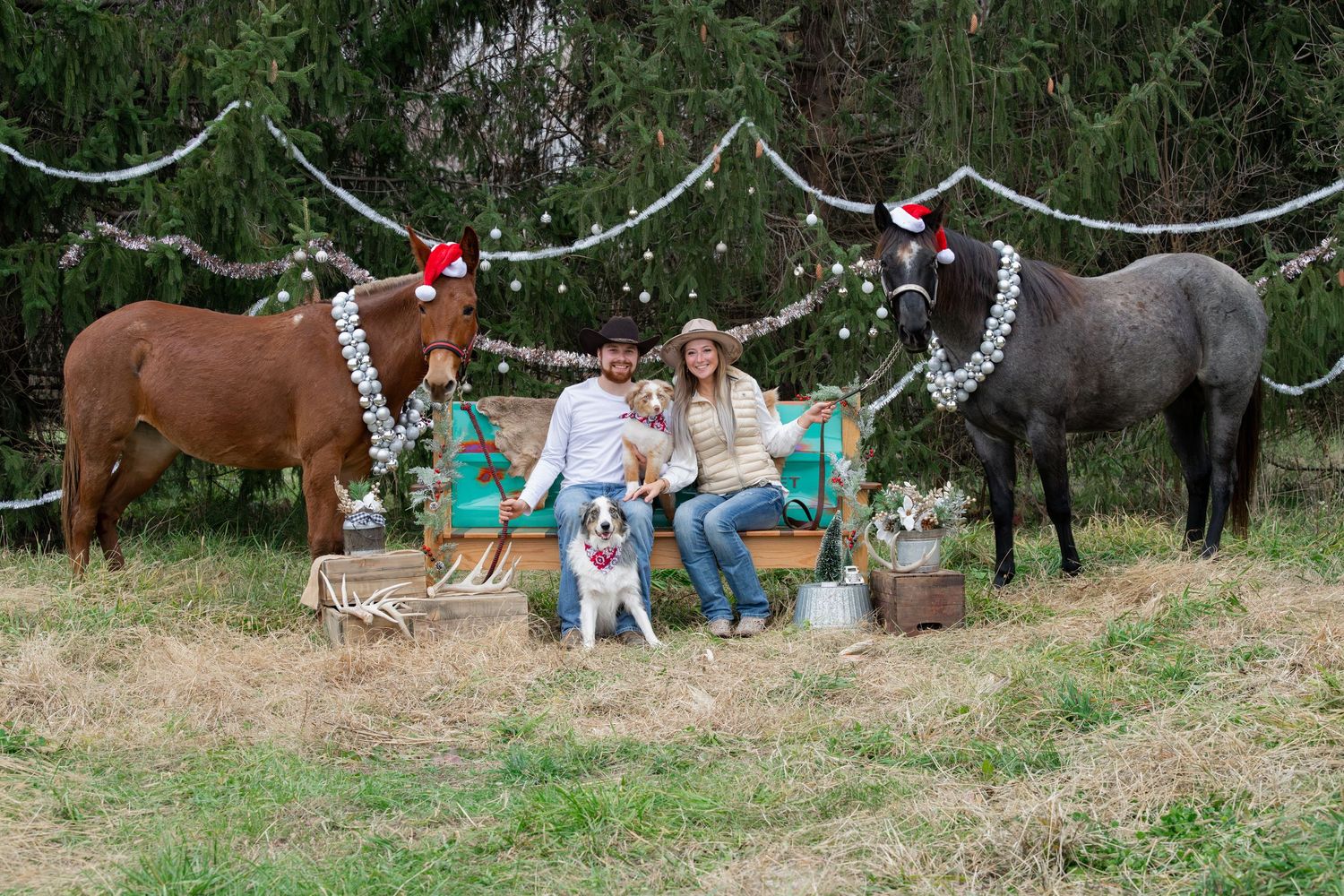 Three horses decorated with Christmas garland stand near a festive outdoor holiday scene.