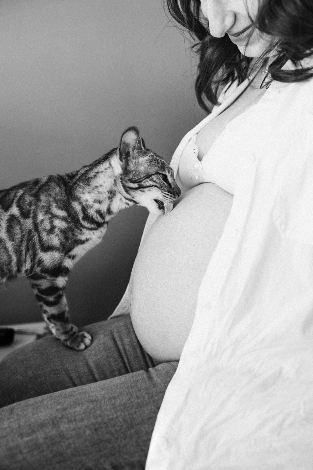 chat qui lèche le ventre d'une future maman