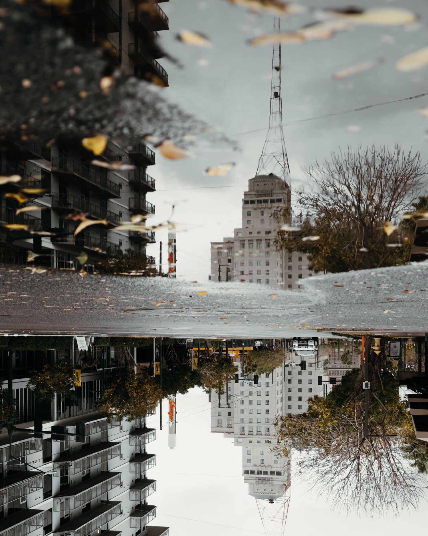 Creative mirror reflection shot of city building with autumn leaves and unique perspective.