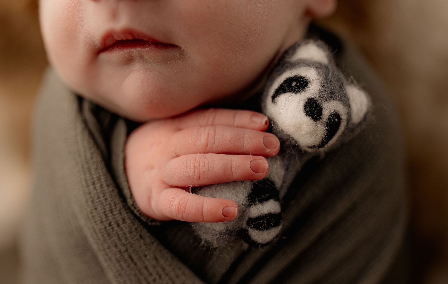 Pike County Ohio | Beaver Ohio Photoshoot | Newborn Photography