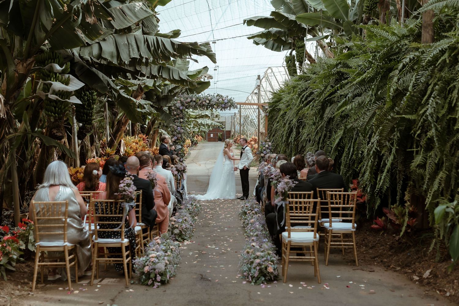 Romantic outdoor wedding ceremony in a lush tropical greenhouse with gold chairs and floral aisle decor.