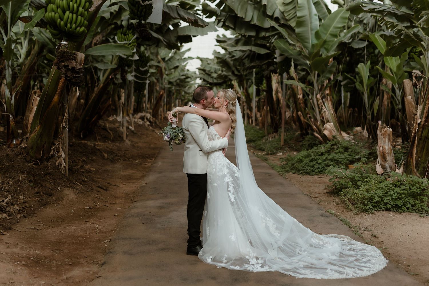 Bride and groom embracing on a tropical path lined with banana trees, bride wearing a lace gown with long veil.