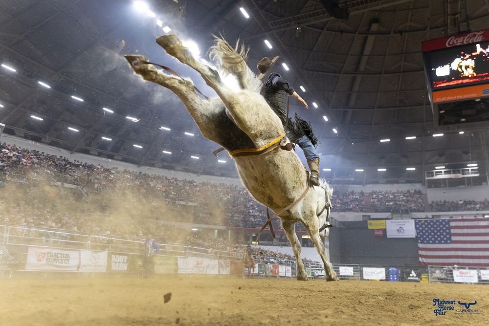 Horse bucking high into the air during an indoor exhibition event. Wisconsin Pro Rodeo PRCA Rodeo Photographer Dakota Cardenas