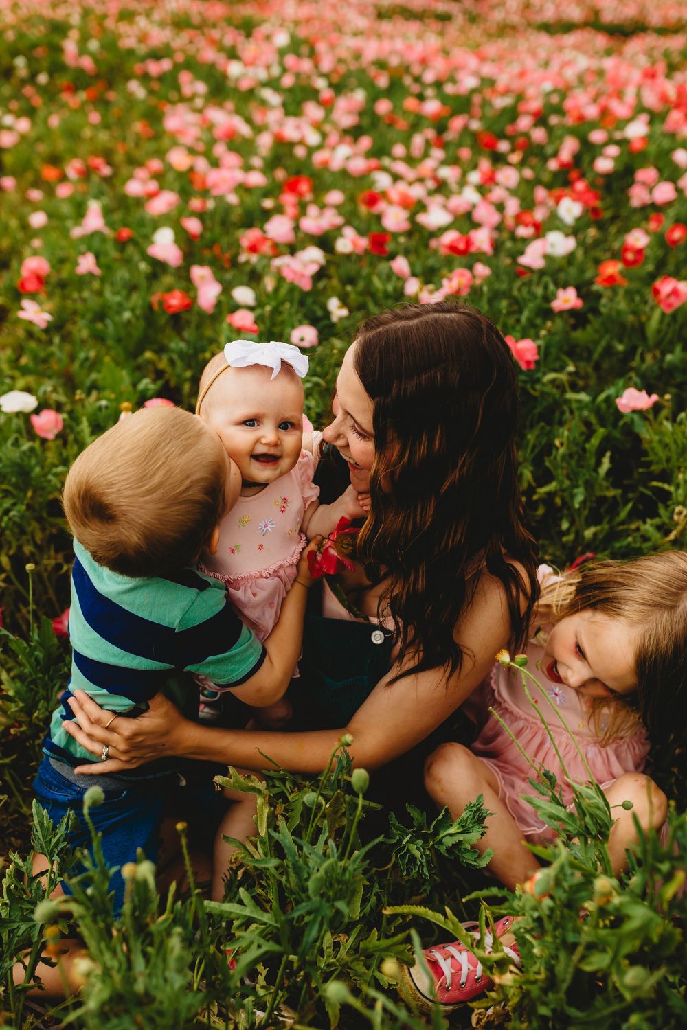 danville, va
chatham, va 
portrait photographer
family photographer