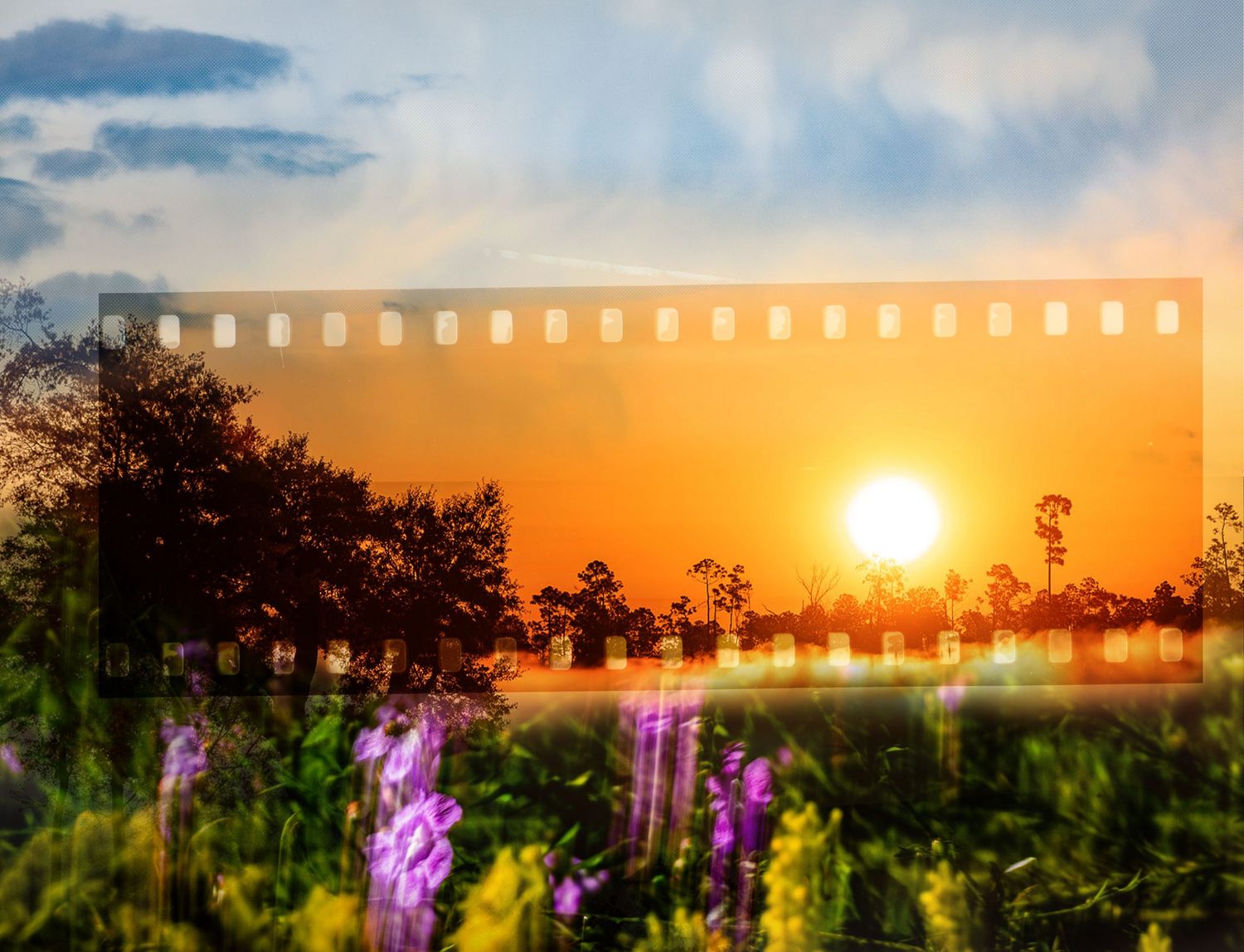 blended photo collage of watercolor sky clouds, a sunrise, and a field of moving flowers overlayed with a film strip