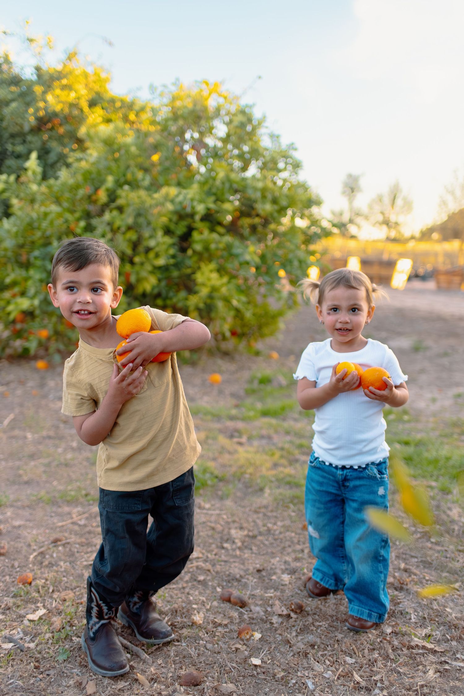Two children hold fresh oranges while standing in a citrus grove on a sunny afternoon.