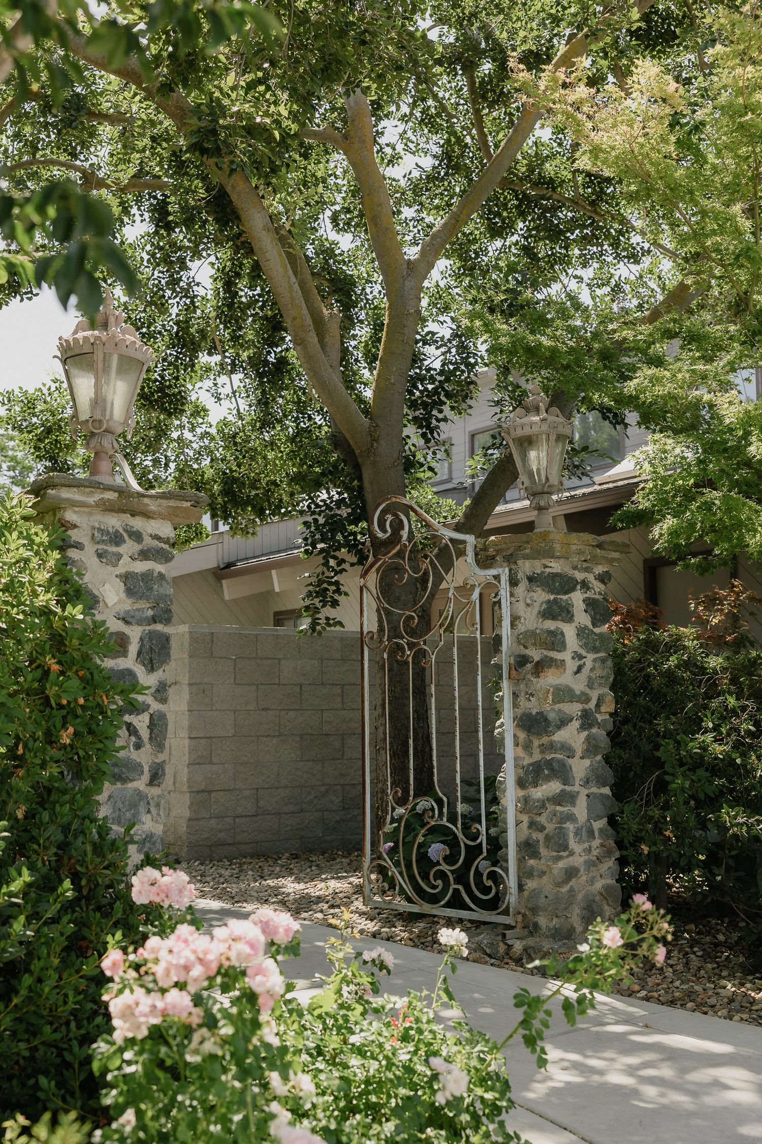 An ornate wrought iron gate with stone pillars and lantern lights surrounded by pink roses and green foliage.