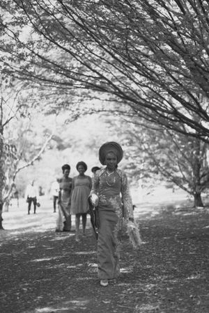 A vintage black and white photo shows figures walking under tree-lined path.