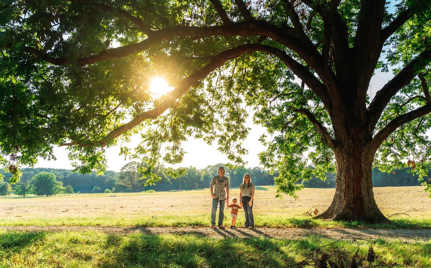 Silhouettes stand beneath a majestic oak tree at sunset in a peaceful countryside meadow.