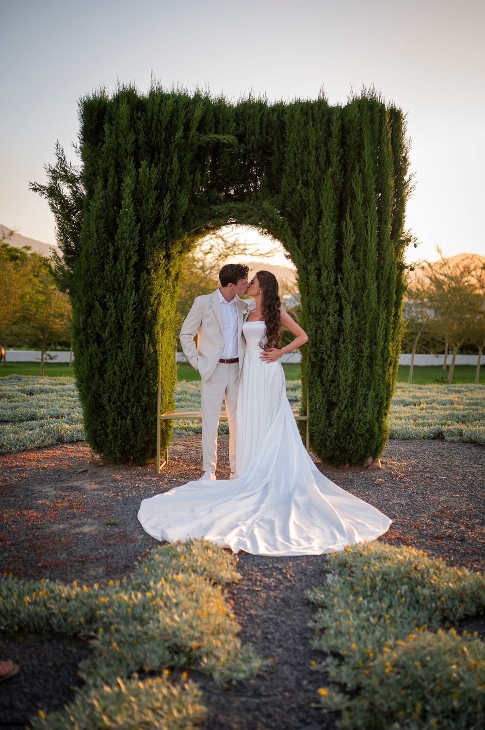 Elegant wedding portrait through cypress tree archway at golden hour.