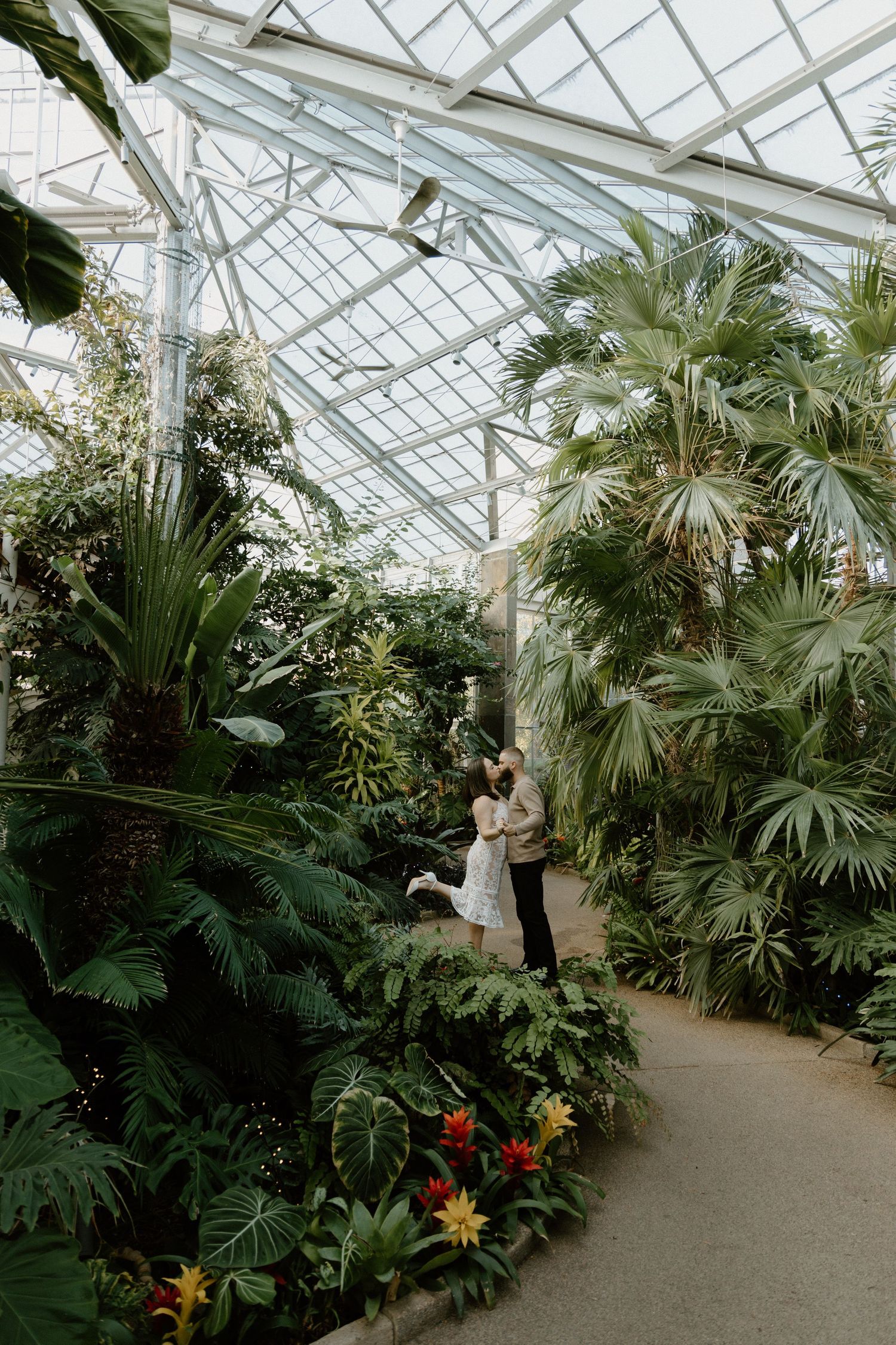 A lush tropical greenhouse interior with palm trees, ferns and other exotic plants beneath a glass ceiling.