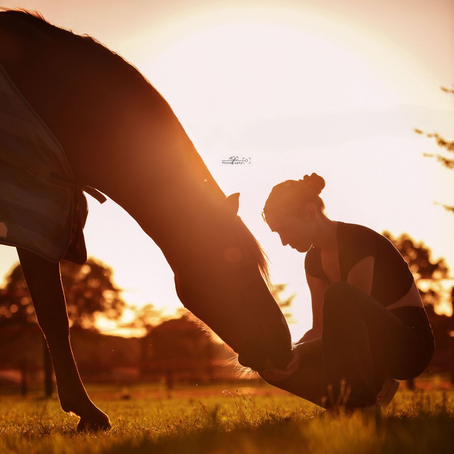 Bijzondere ervaring: romantische paarden fotoshoot in een natuurlijke omgeving in Gelderland.