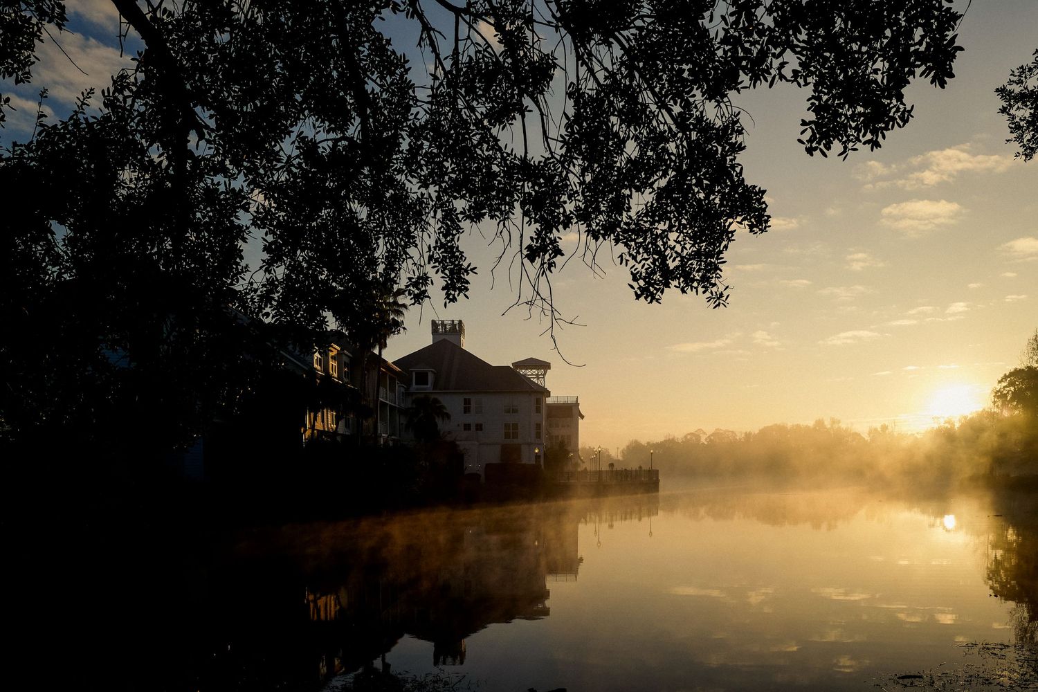 Misty sunrise over a lake with house silhouette and overhanging tree branches.