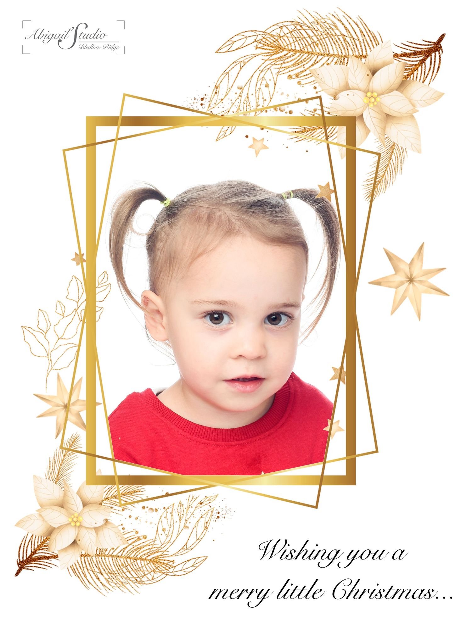 Christmas photography by Abigail's Studio High Wycombe