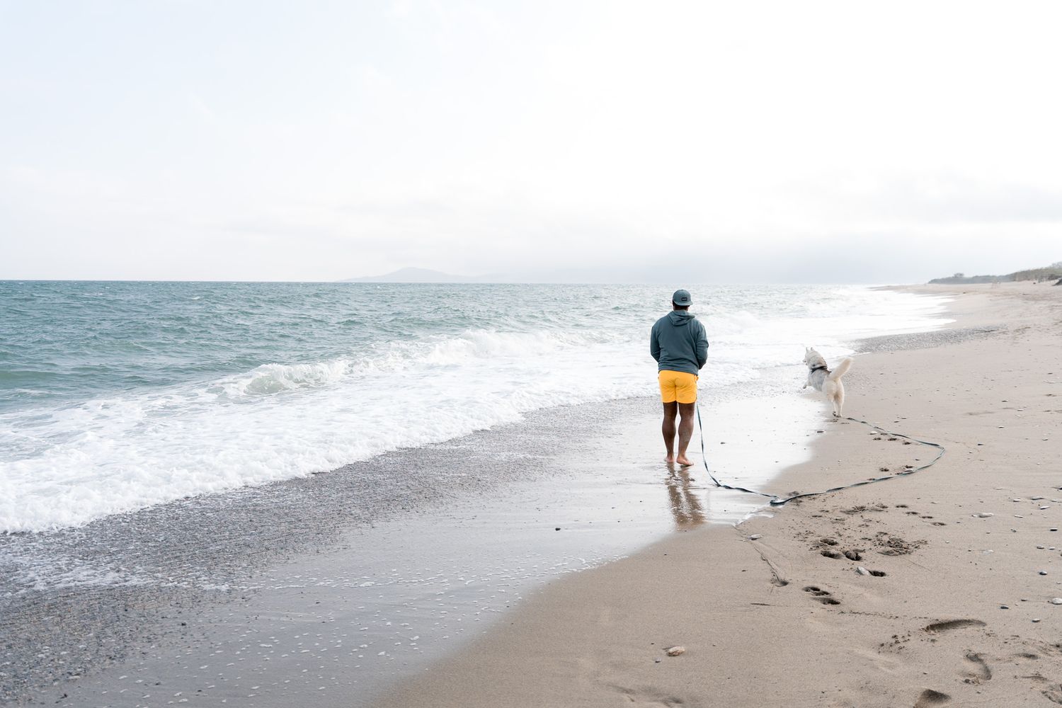 promeneur de dos la plage du racou avec son chien à côté d'Argelès-sur-mer