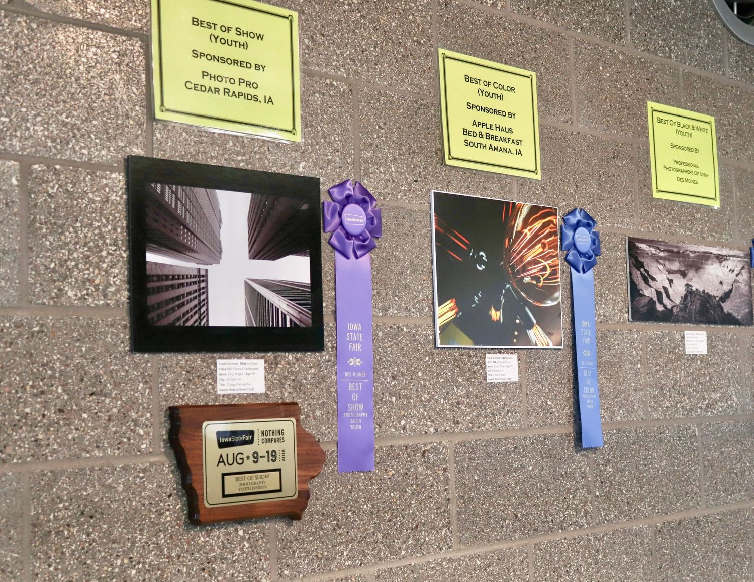 Photography exhibition display with award ribbons and framed black and white images on concrete wall.