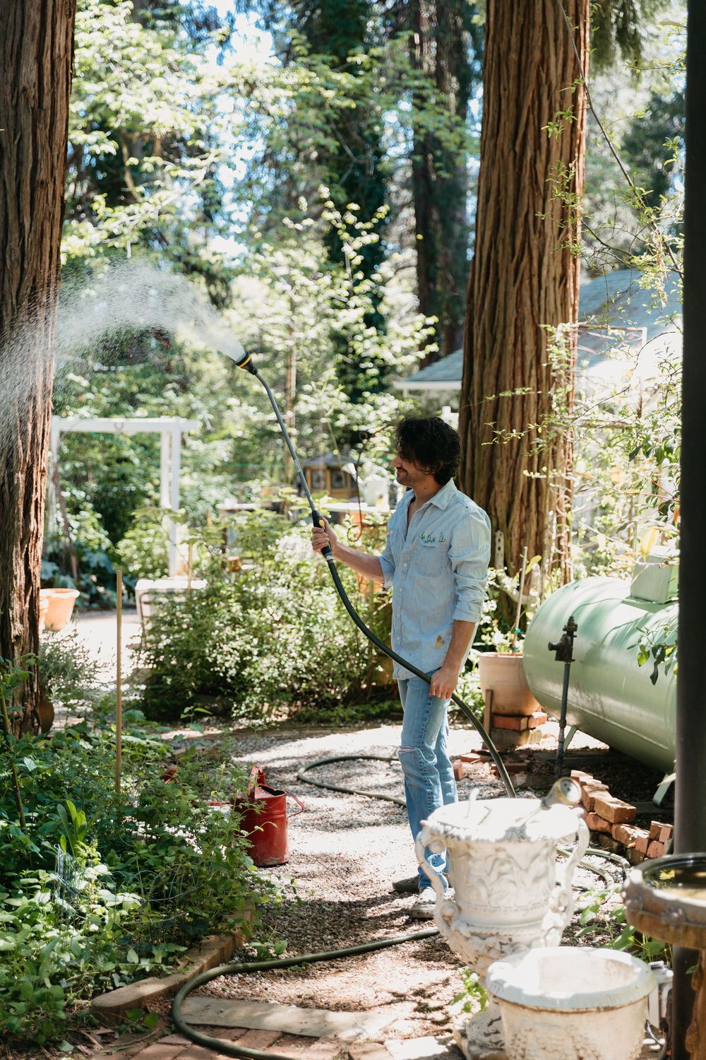 Sequential garden views showing tall redwood trees and outdoor pathways.