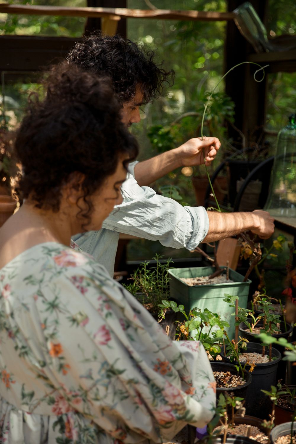 People tending to plants in a sunlit greenhouse with floral decor.
