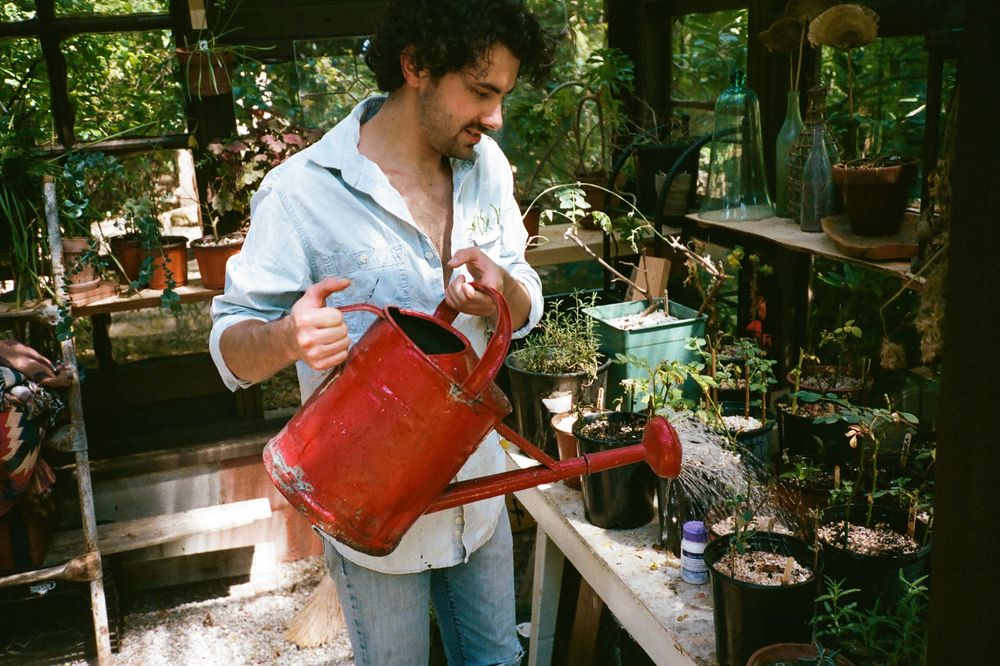 Person holding red watering can in greenhouse surrounded by potted plants.