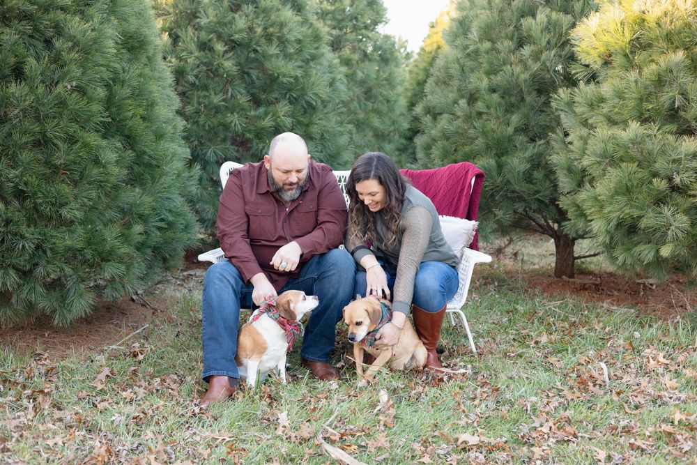 Springfield, IL Photographer captures a family loving on their two dogs during a family session in Central, IL.