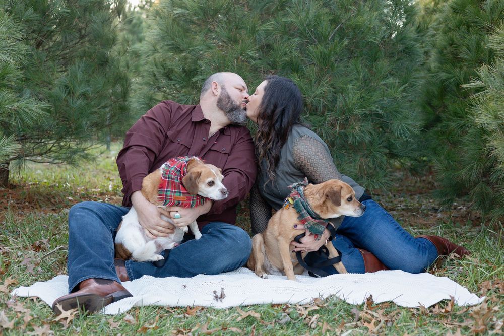 Springfield, IL Photographer captures a couple kissing on a blanket while their two dogs look away during a family session in Central, IL.
