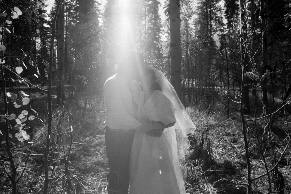 Black and white photo of a bride and groom kissing in a sunlit forest, with the bride wearing a veil.