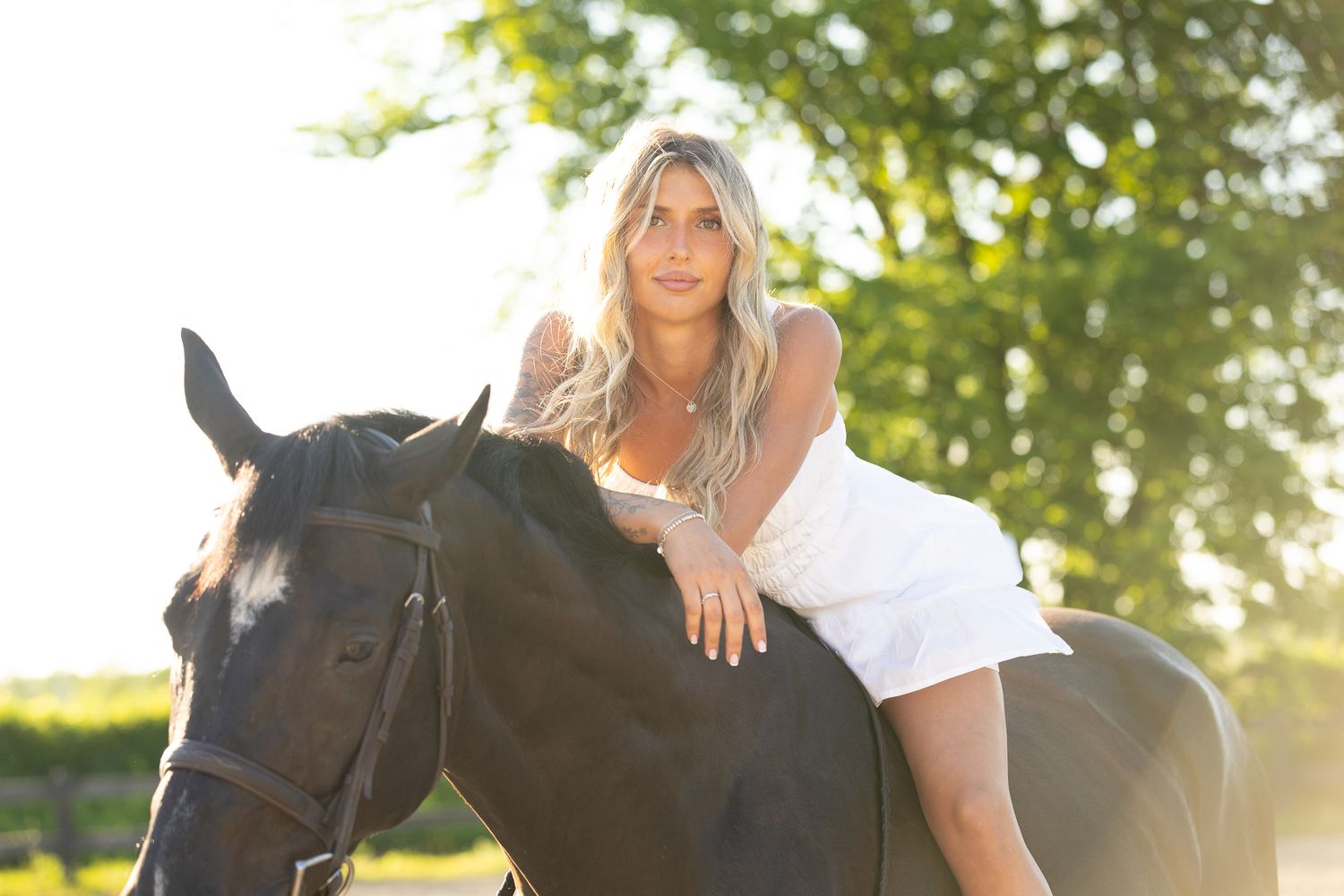 schomberg equine photoshoot, schomberg horse photographer, equine photographer newmarket, uxbridge equine photographer, horse portraits