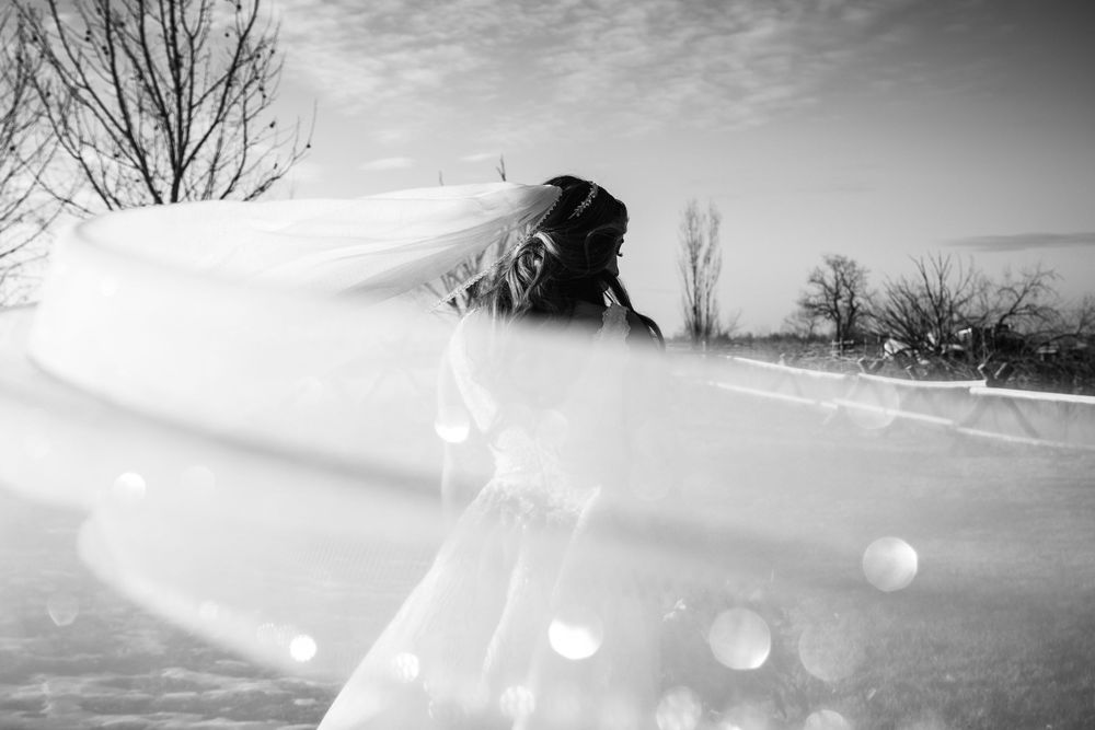 Bride in flowing wedding gown and veil captured in dramatic black and white winter outdoor portrait.