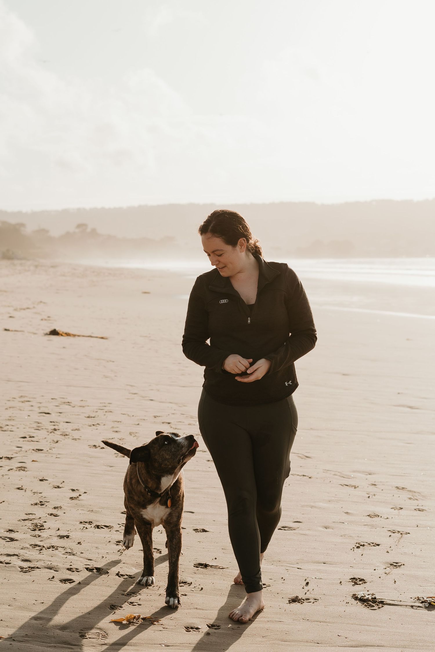A person wearing dark clothing walks their dark-colored dog along a misty beach at sunset.