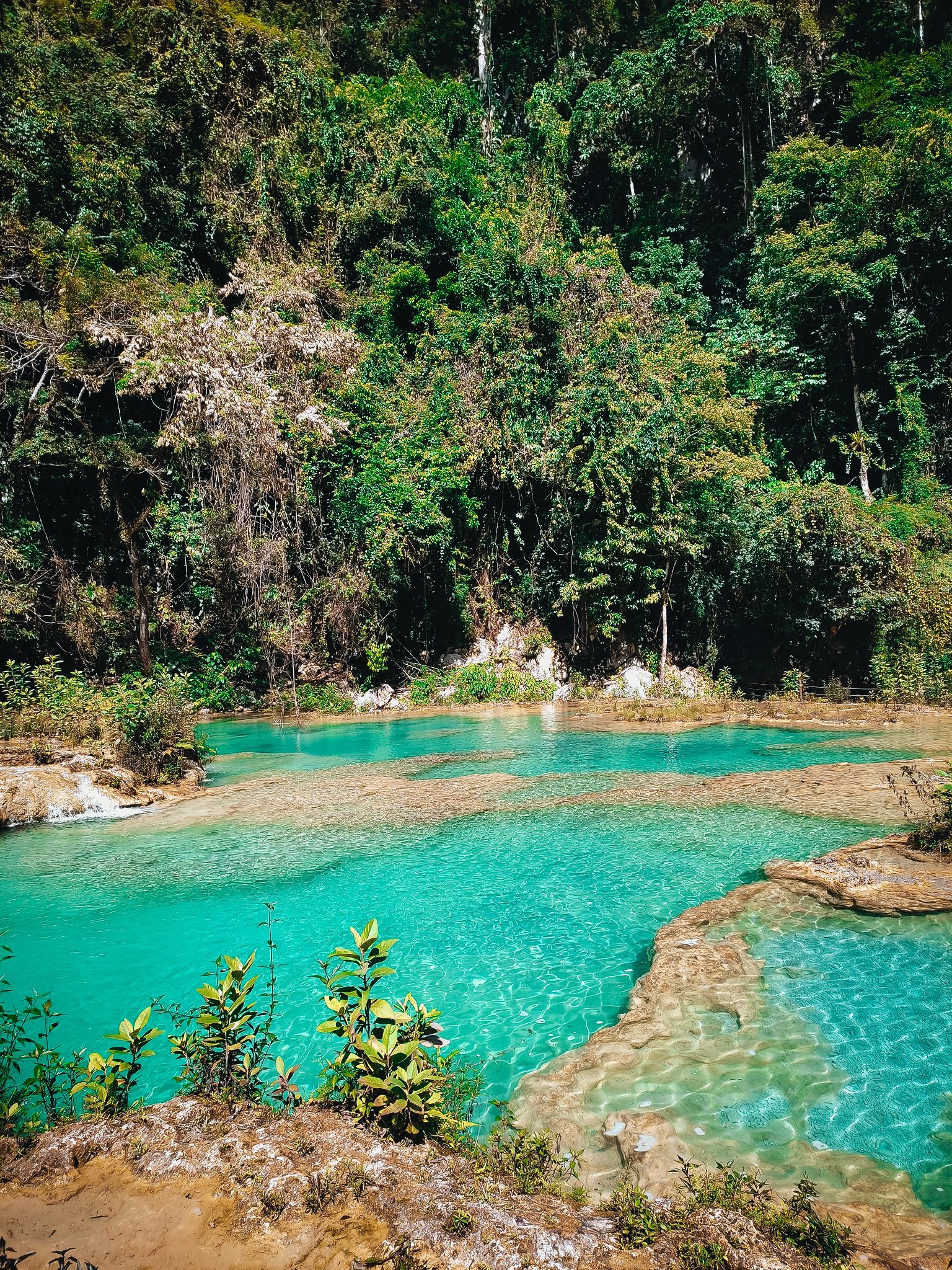 Semuc Champey tour