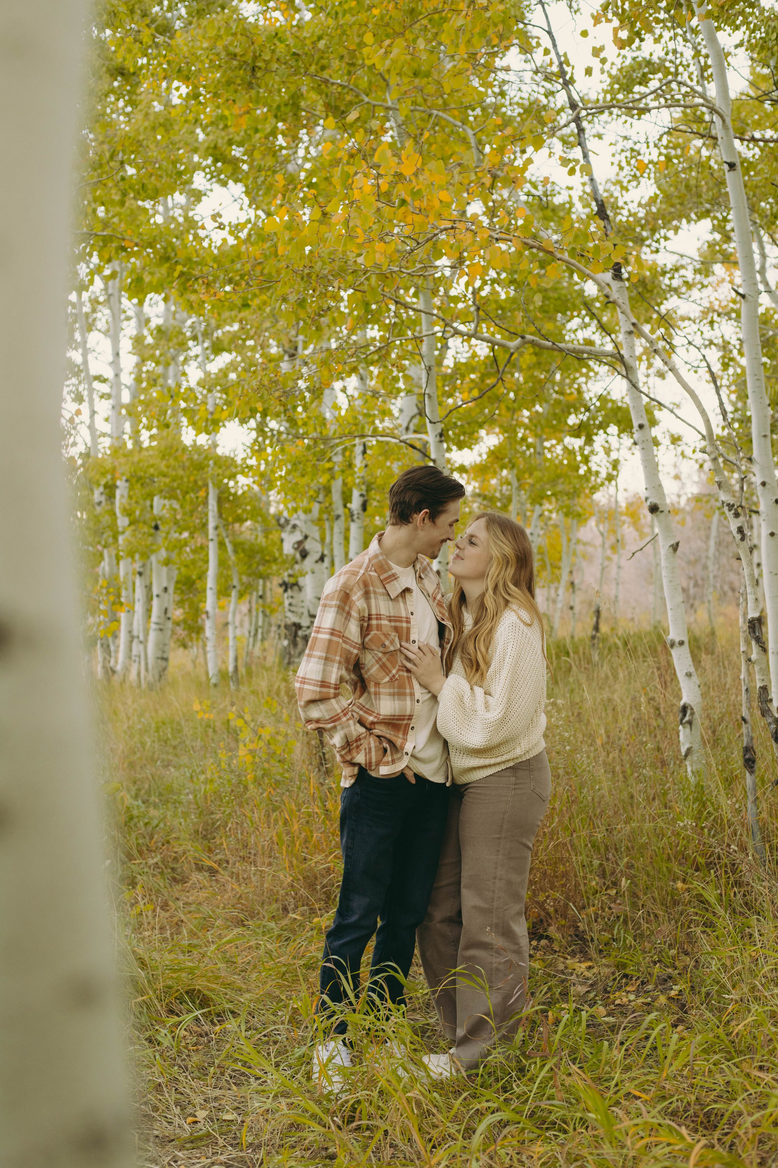 A romantic moment between a couple in a golden aspen grove in Provo, Utah.