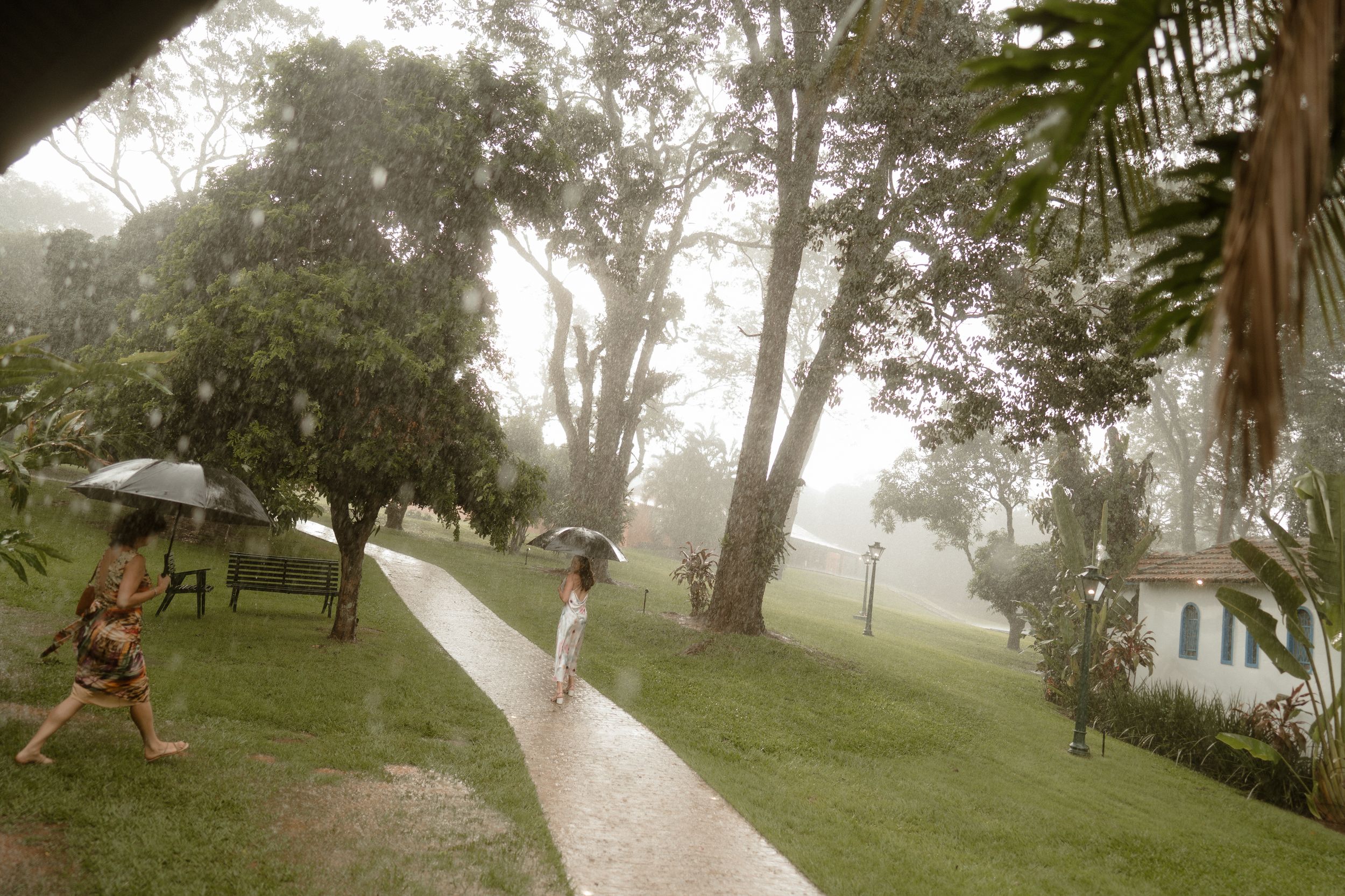 Misty landscape view of trees and pathways on a rainy day.