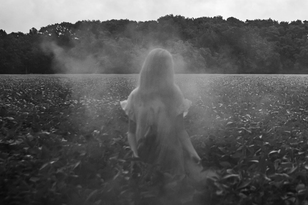 A ghostly figure appears in a misty field at dusk creating an atmospheric supernatural scene.