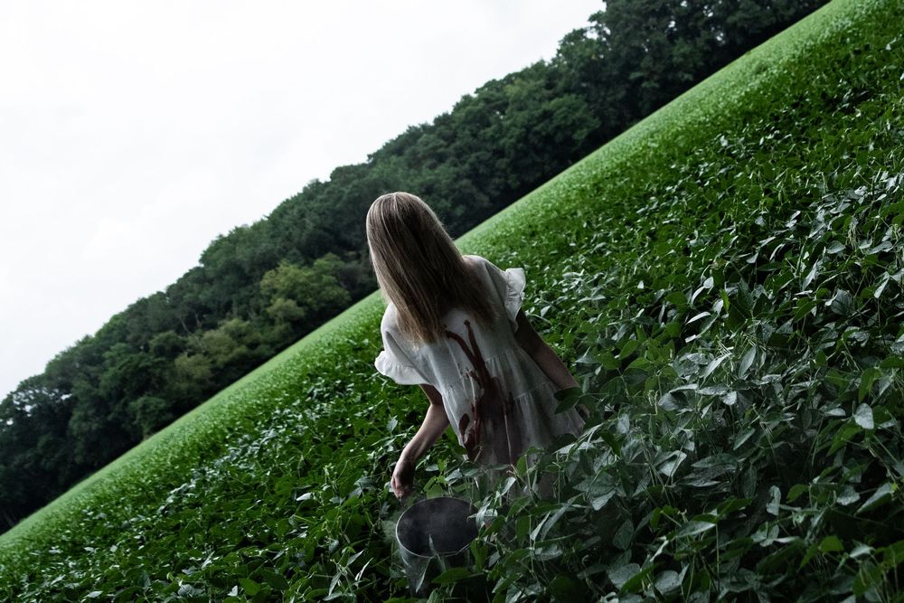 A figure crouches in a lush green hillside tea plantation surrounded by dense forest.