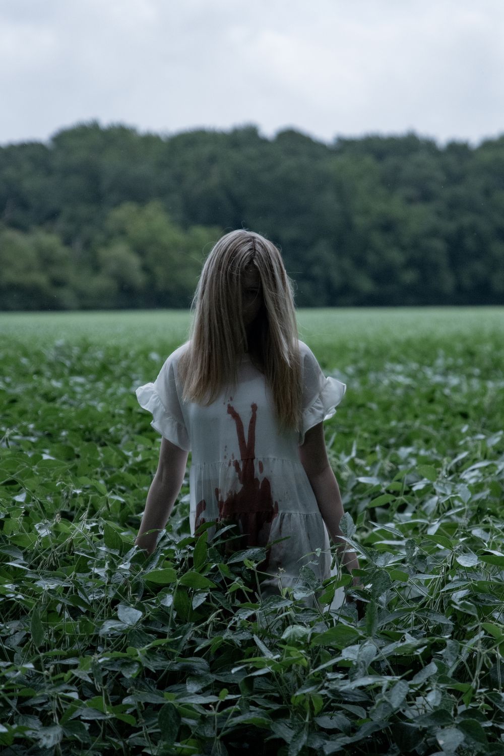 A figure in a white dress with long hair sits in a field of wildflowers at dusk with forest in the background.