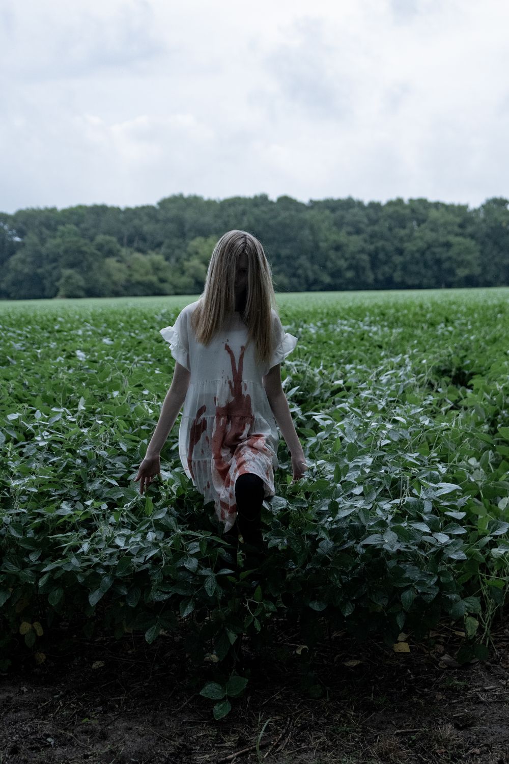 A figure in a blood-stained white dress stands alone in a misty field of crops.