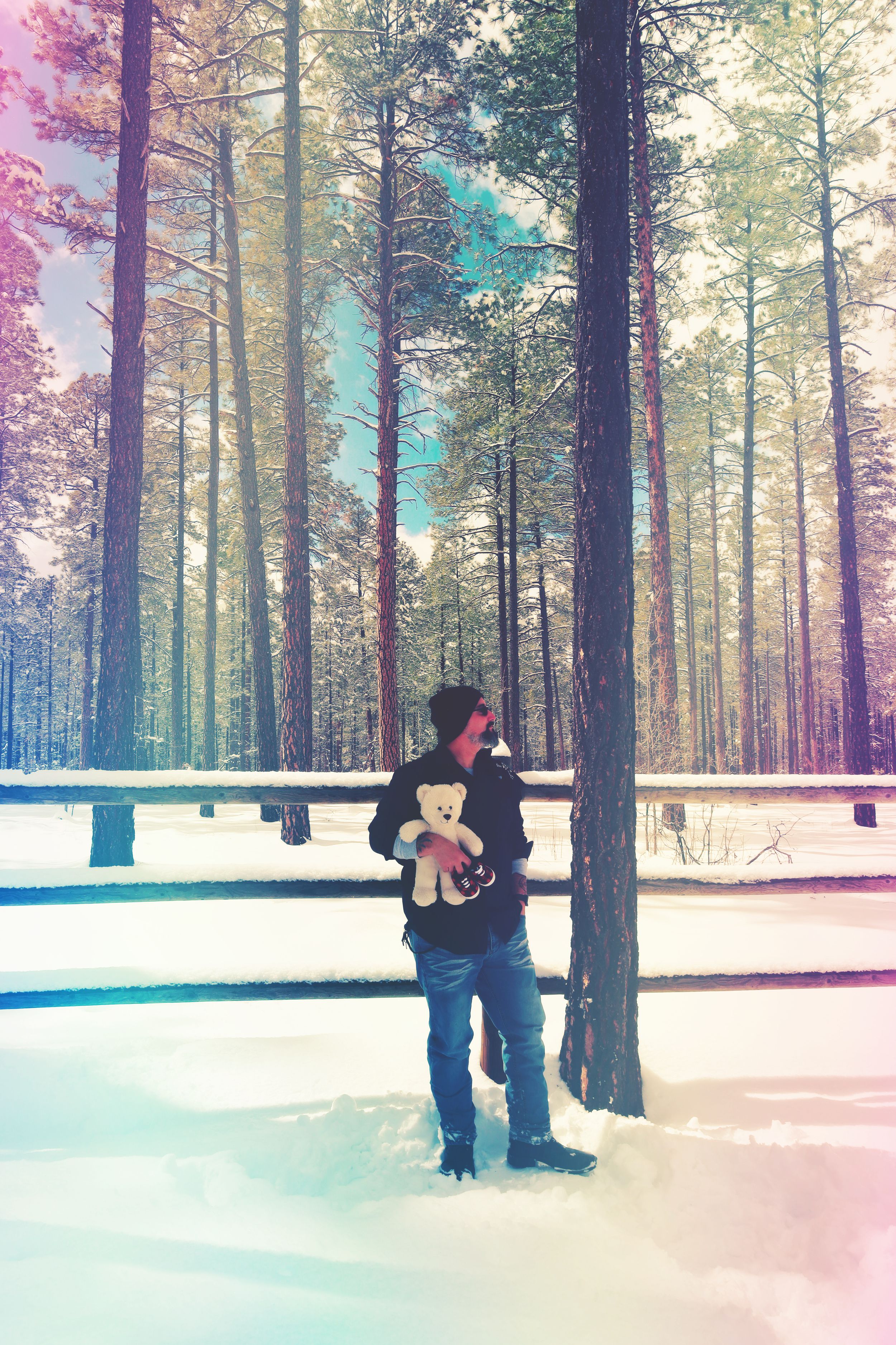 Man holding a white teddy bear standing among tall snow-covered pine trees in a colorful winter forest.
