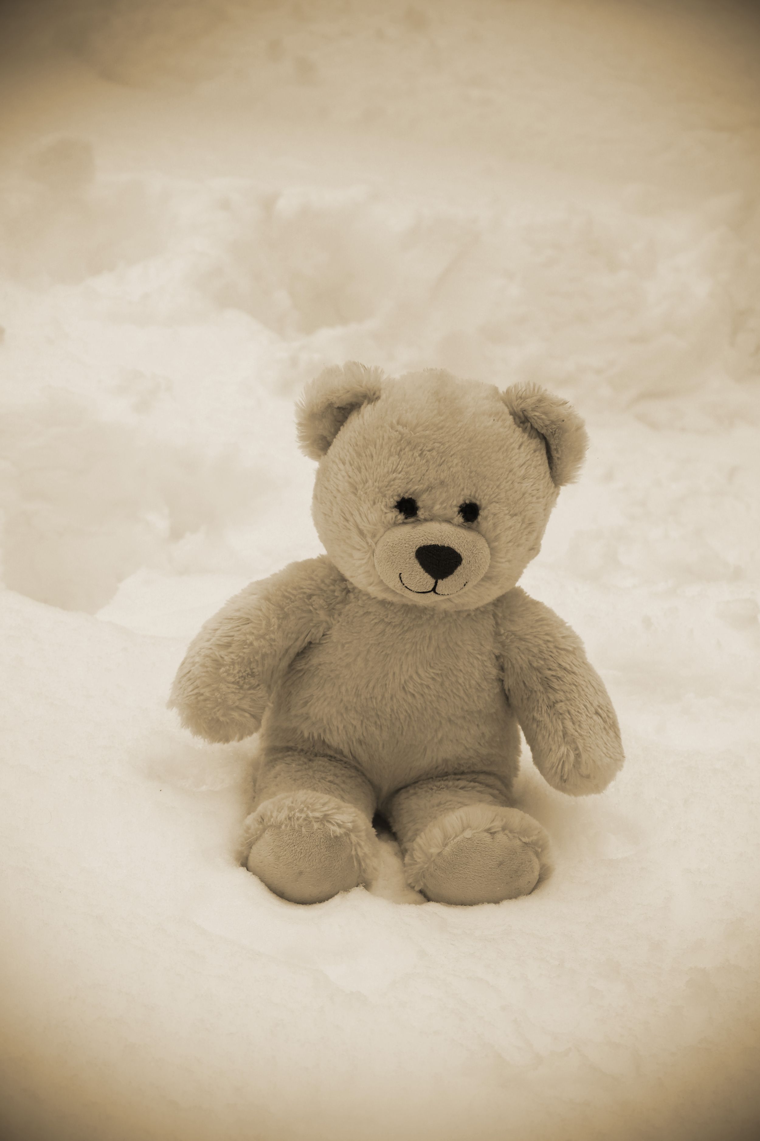 Soft cream teddy bear sitting alone in white snow in a vintage sepia toned photograph.