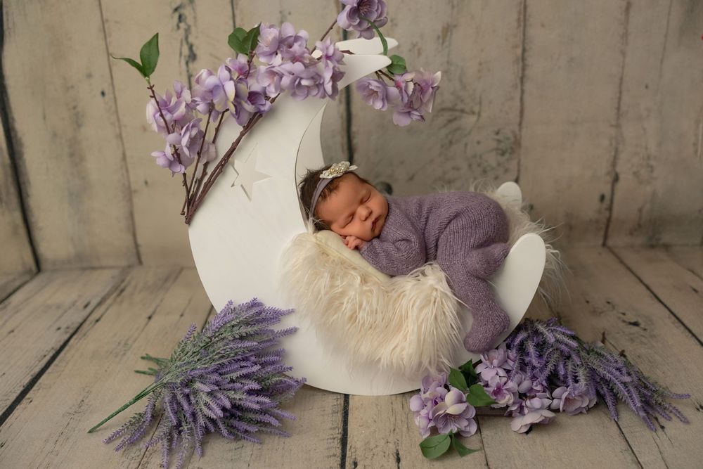 A series of purple and white themed newborn photography props including flowers, blankets, and decorative elements.