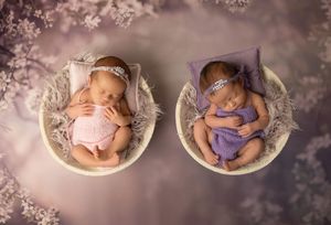 A series of professional newborn photography portraits showcasing sleeping babies in vintage style bowls and props.