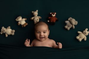 A collection of teddy bears arranged on a dark background creates a whimsical display for a photography session.