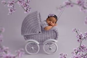 Vintage style baby carriage surrounded by delicate purple cherry blossoms on a soft lilac background.