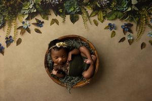 A newborn baby sleeps peacefully in a round wooden bowl surrounded by greenery and floral decorations.