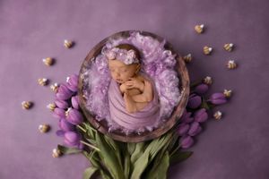 Newborn sleeping in purple nest surrounded by fresh tulips and floral decorations in artistic overhead composition.